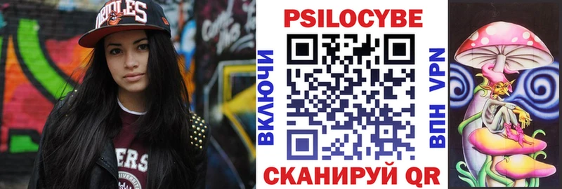 Галлюциногенные грибы Cubensis  цена наркотик  Майкоп 