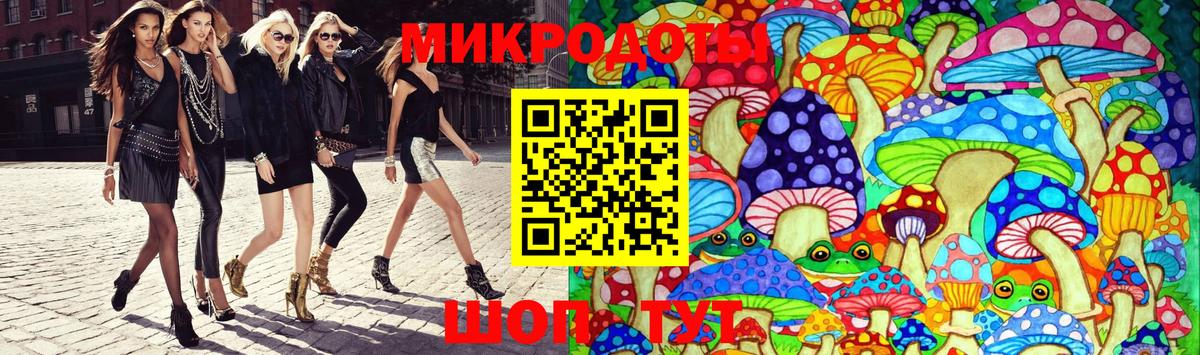 Майкоп  цены наркотик  Псилоцибиновые грибы прущие грибы  Вход с VPN  Псилоцибиновые грибы Cubensis 