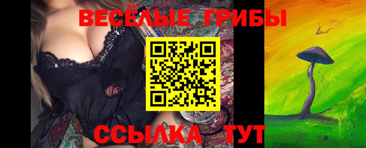 Псилоцибиновые грибы прущие грибы Майкоп